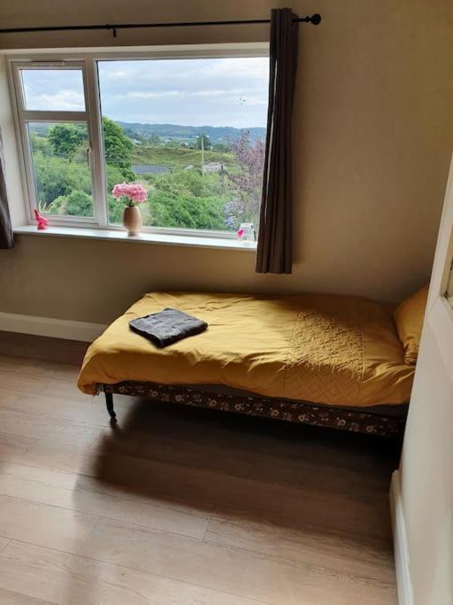 Private 3 Bedroom House Ideal For Family & Friends Кіллібеґс Екстер'єр фото